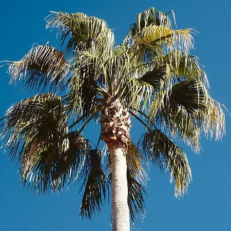 San Pedro Del Mar * Marbella
